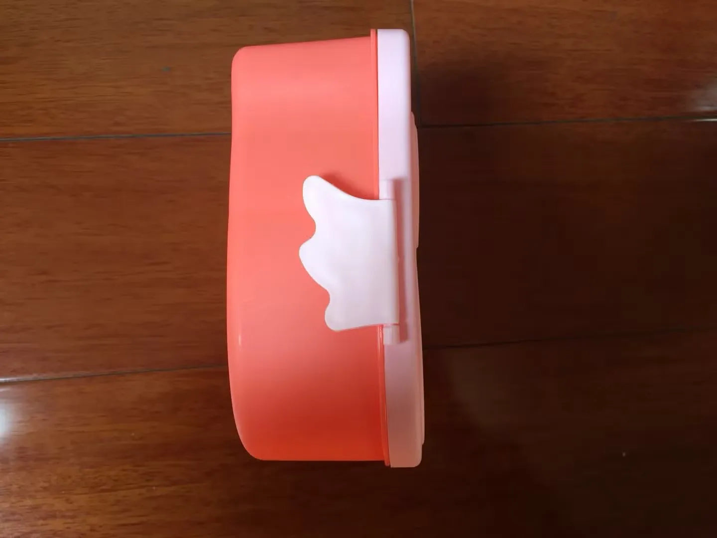 Kids Cartoon Bento Lunch Box